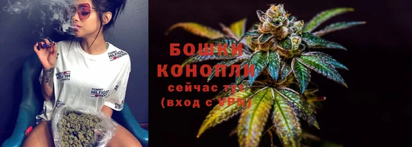 спайс Ельня
