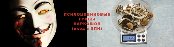 МДПВ Заводоуковск