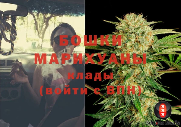 МДПВ Заводоуковск