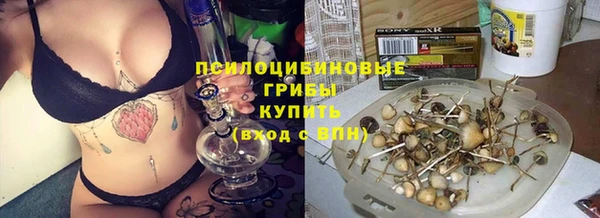 спайс Ельня