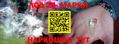 mdpv Камышлов
