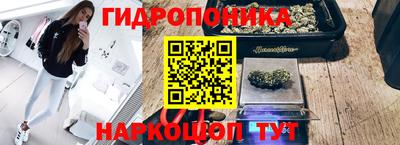ПСИЛОЦИБИНОВЫЕ ГРИБЫ Ипатово