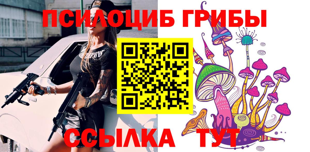 Галлюциногенные грибы мицелий  купить   Ливны  Вход с VPN 